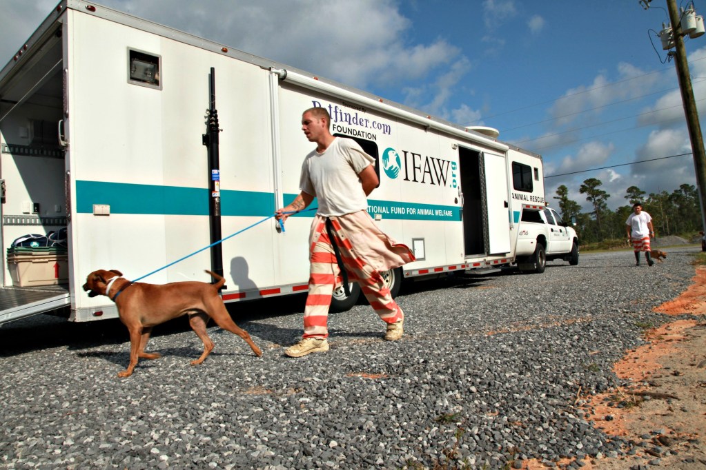 IFAW_truck_dog