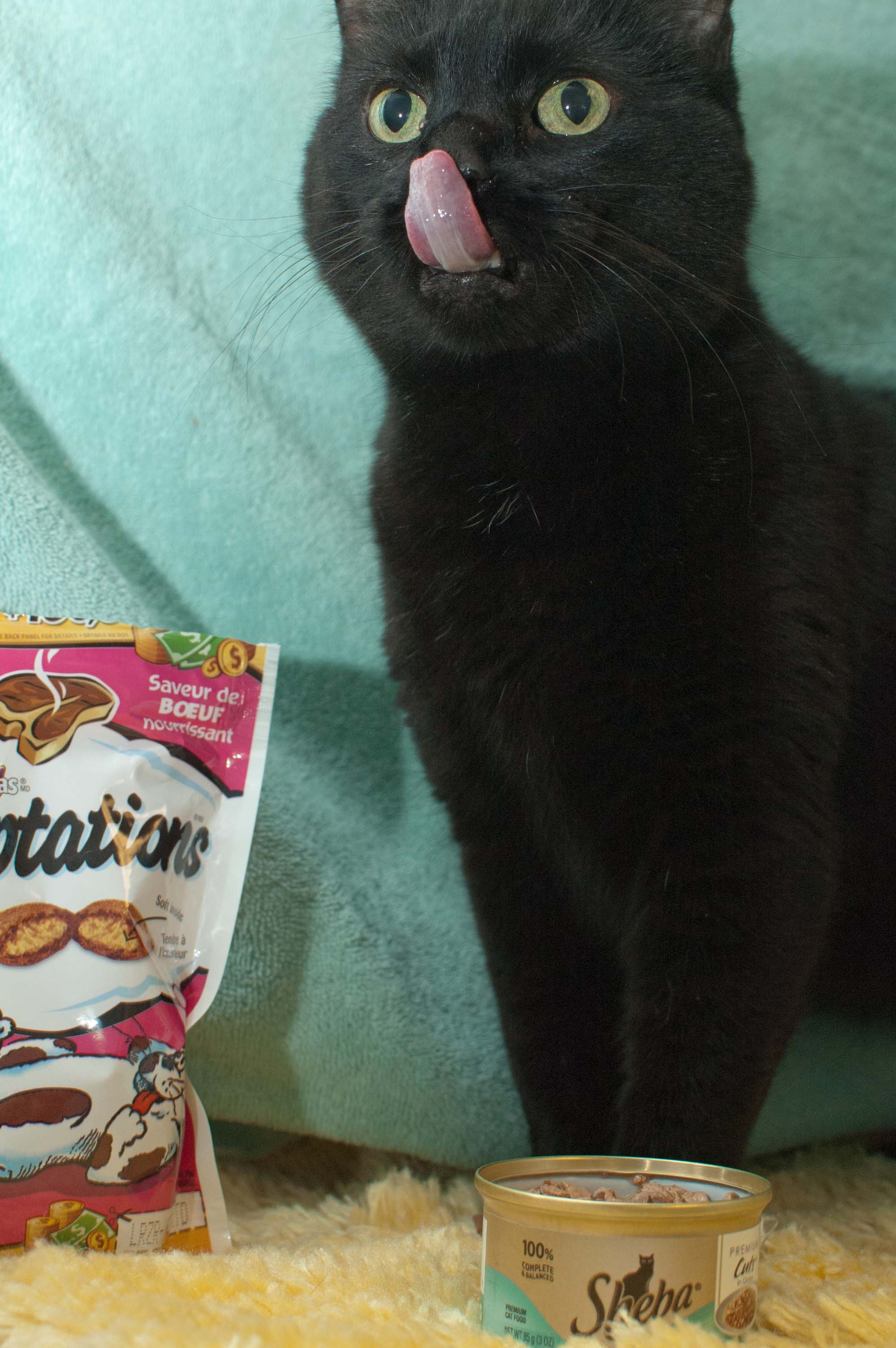 Pear Eats Donated Food
