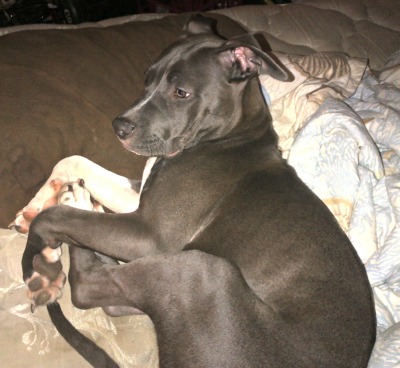 Bane in his new home