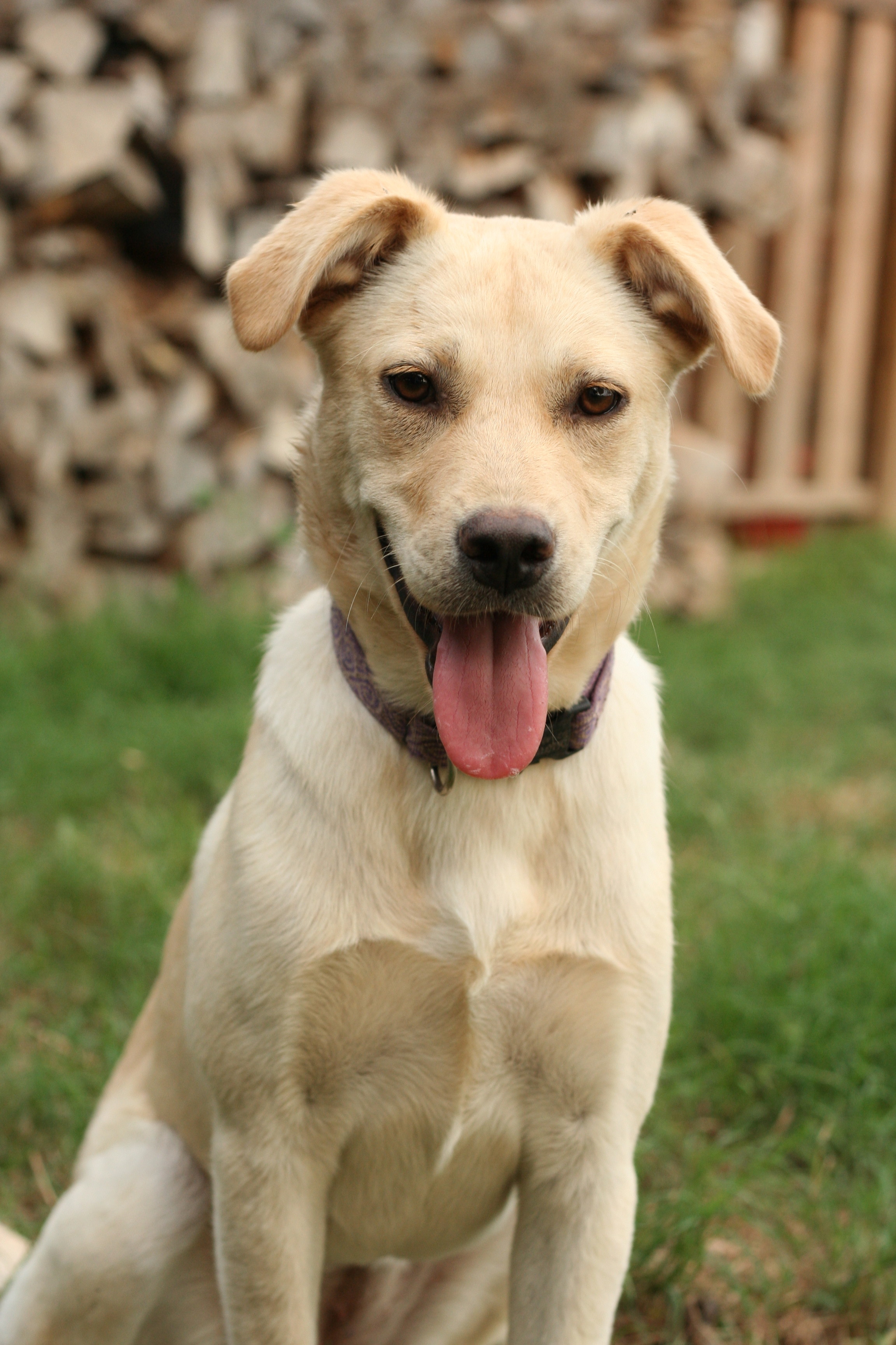 Bonnie