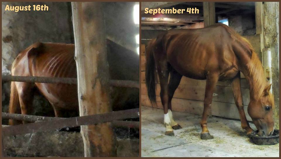 Rudy's transformation