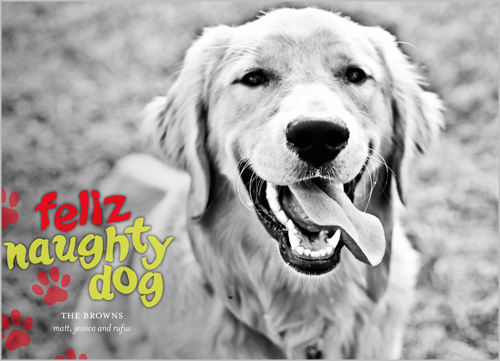 feliz_naughty_dog