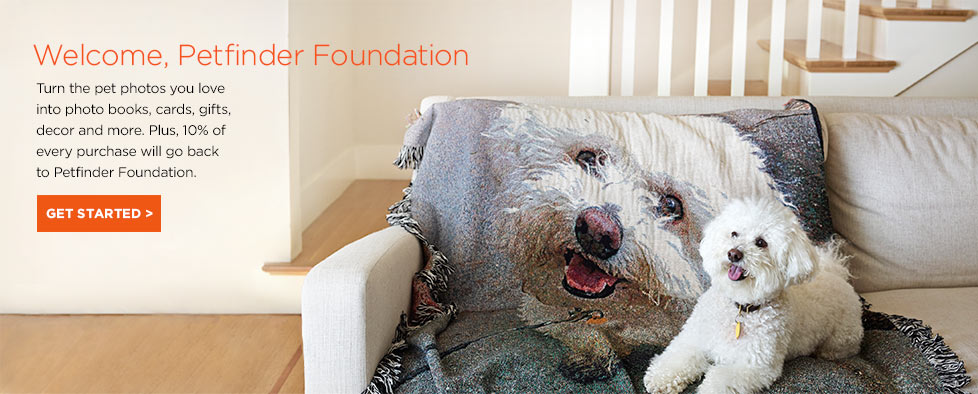 shutterfly_homepage