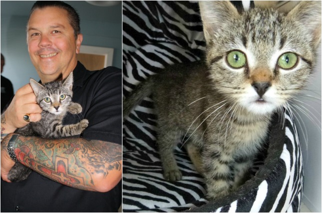 Matt Freeman of Rancid and Adina (Photo: Motley Zoo Animal Rescue)