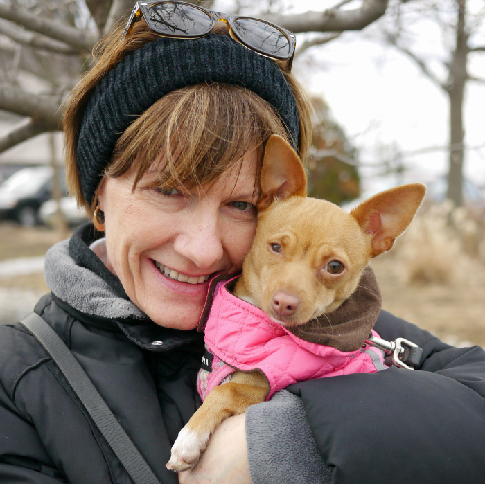 Adoptable Sky is waiting at Mt. Pleasant Animal Shelter in 